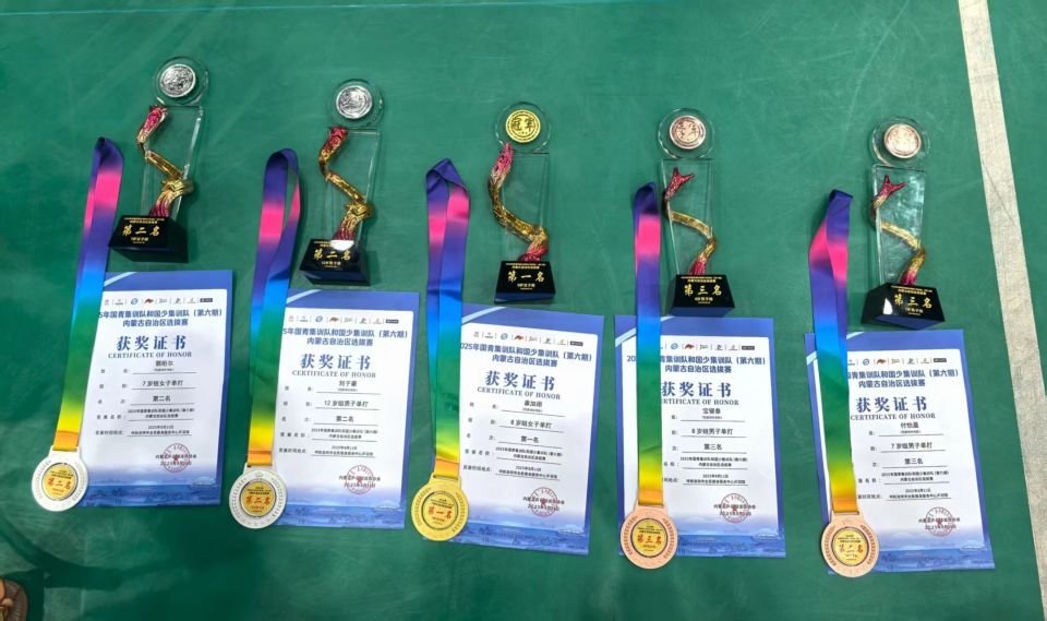 https, 区级乒乓球