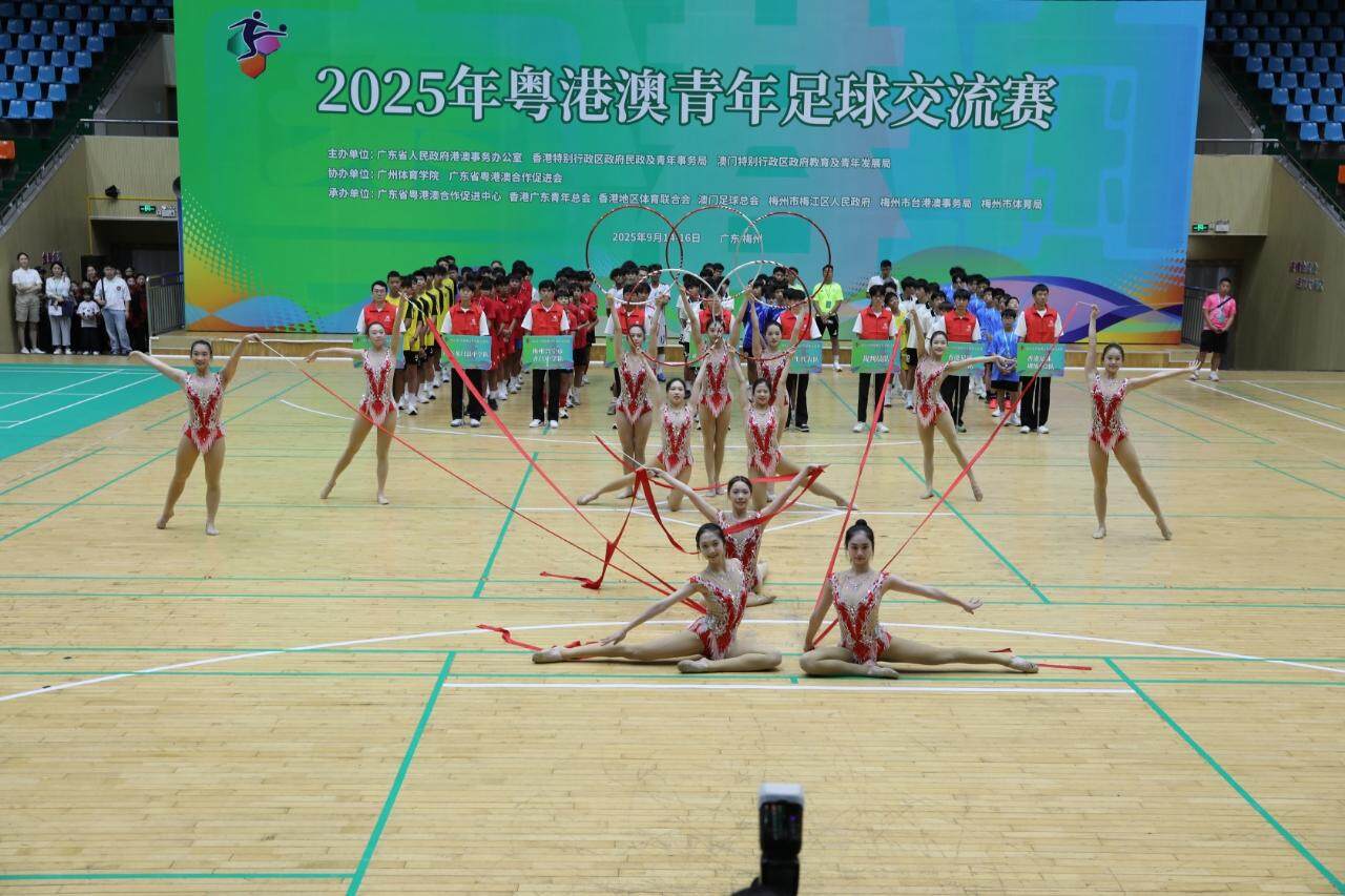 entit, 年总会副主, 记者还了解