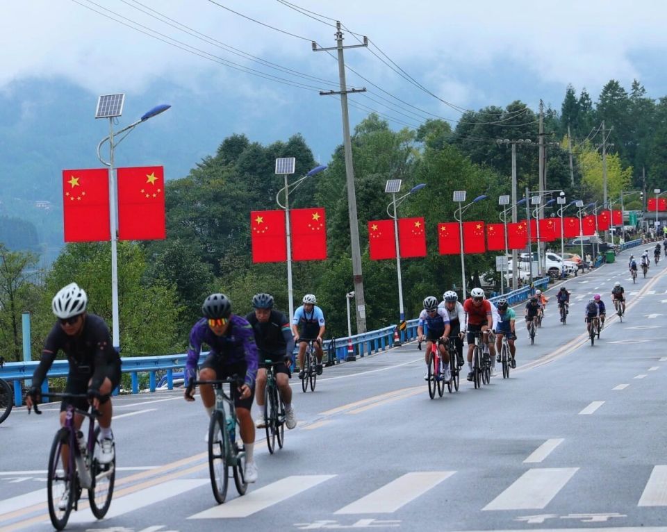 李思介绍, https, YV