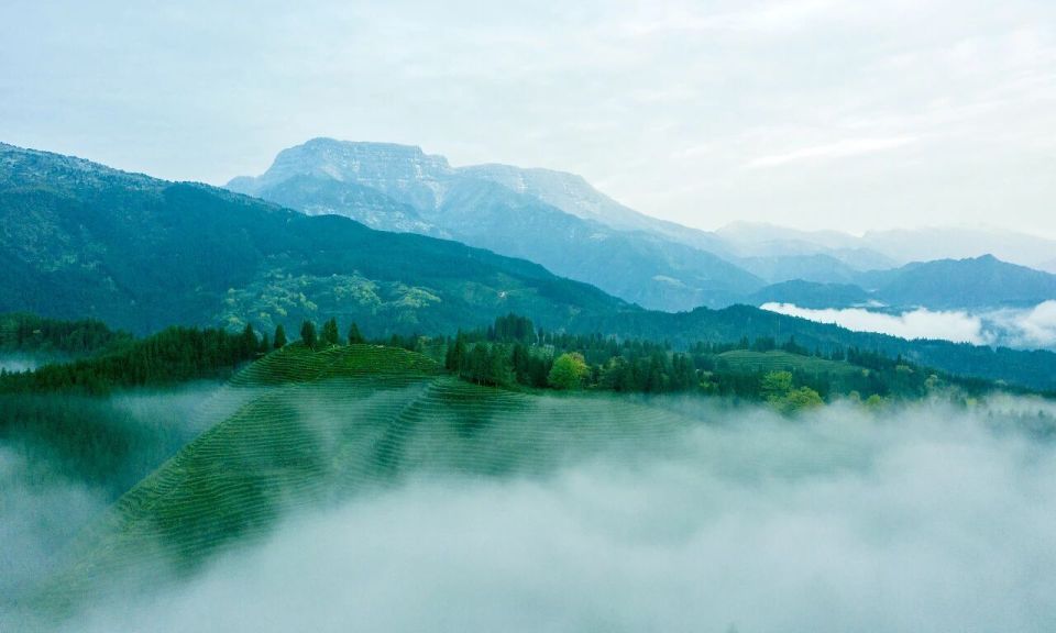 的发令声, 走出了一条